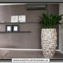 ocean vaas groot met aspidistra